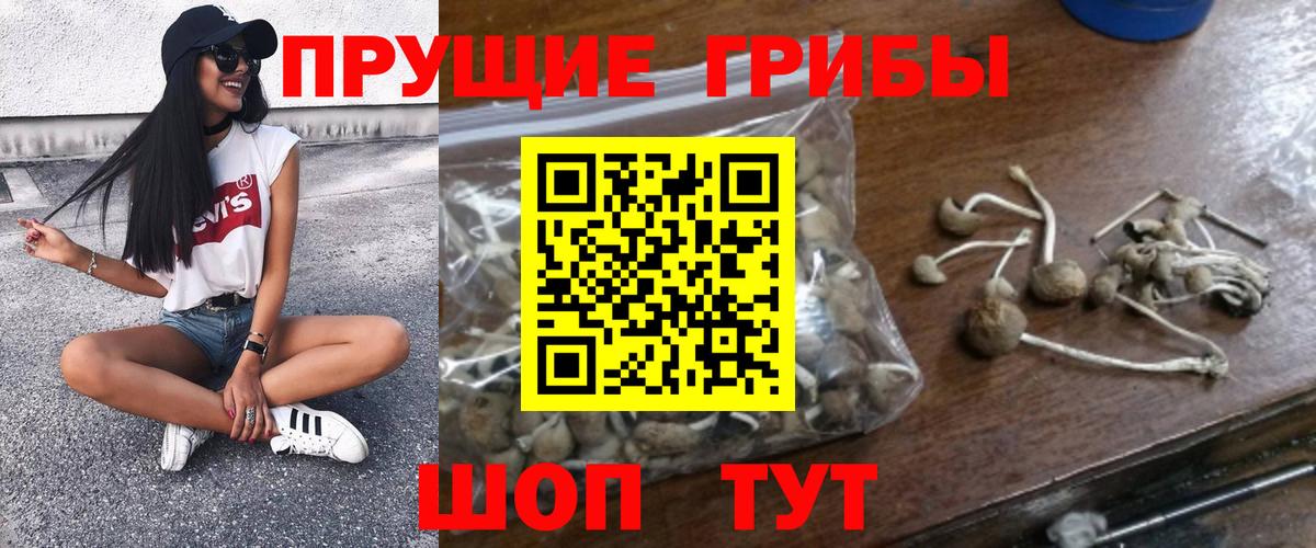 Псилоцибиновые грибы MAGIC MUSHROOMS  Вход с VPN  Рассказово 